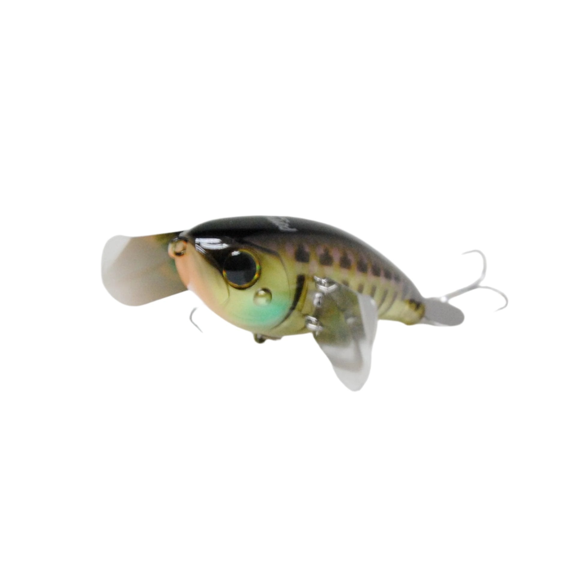 Jackall Pompadour JR. Topwater – Tackle Express - Saltwater and