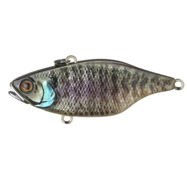 rt holo bluegill