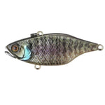 JackallJackall TN 60 Disk Knocker Lipless Crankbait - Lipless Crankbaitrt holo bluegillJTN60DK - SSCH