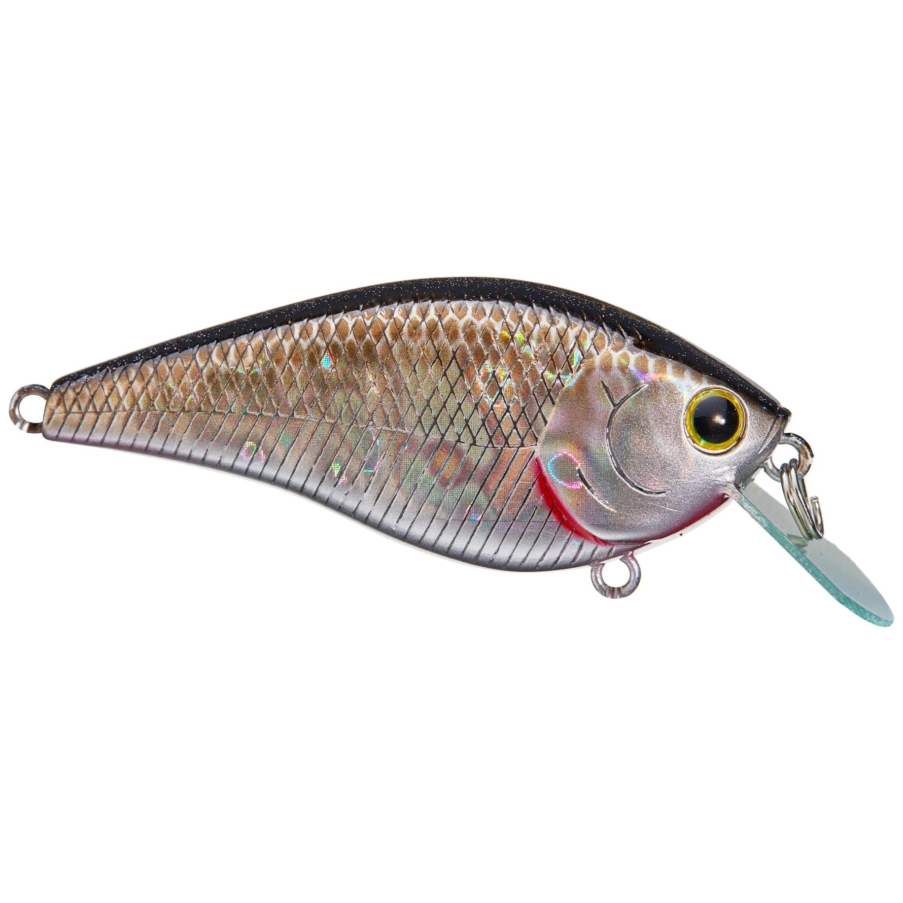 Lucky CraftLucky Craft KJ Flat 1.5 Crankbait - Crankbaitbp golden shinerLCKJFLT1.5 - 419BPGSN