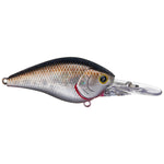 Lucky CraftLucky Craft LC 1.0 DD DRS Crankbait - Crankbaitbp golden shinerLC1.0DDDRS - 419BPGSN