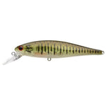 Lucky CraftLucky Craft Pointer 100 SP Jerkbait - JerkbaitSmallmouth Bass128SMBS