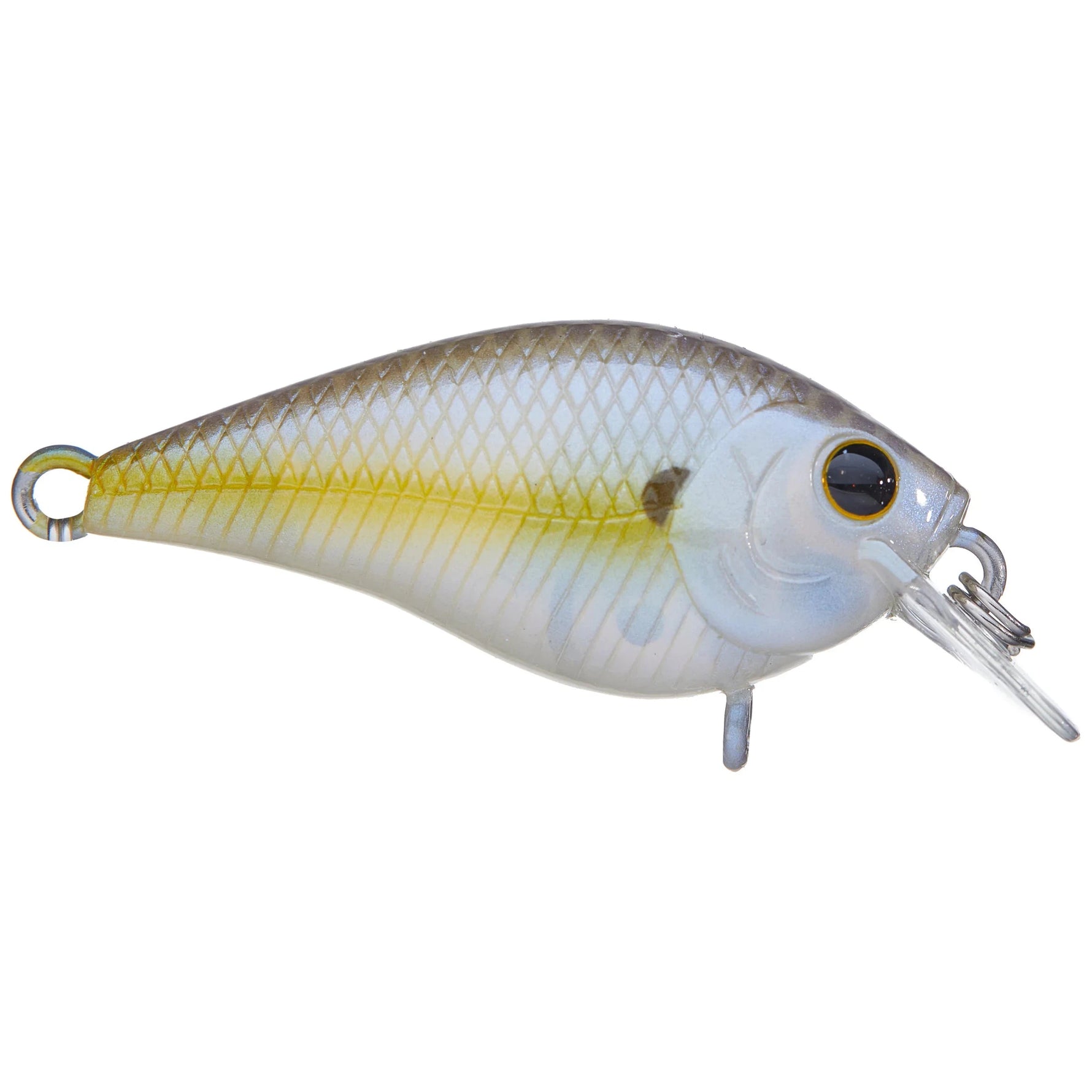 chartreuse shad