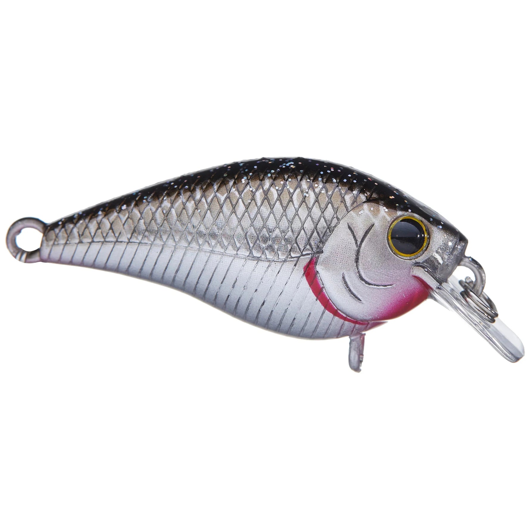 bp golden shiner