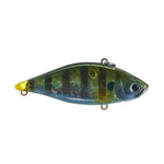 baby bluegill