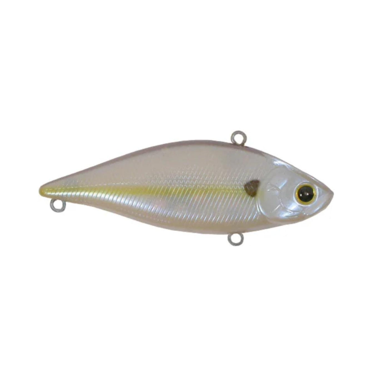 chartreuse shad
