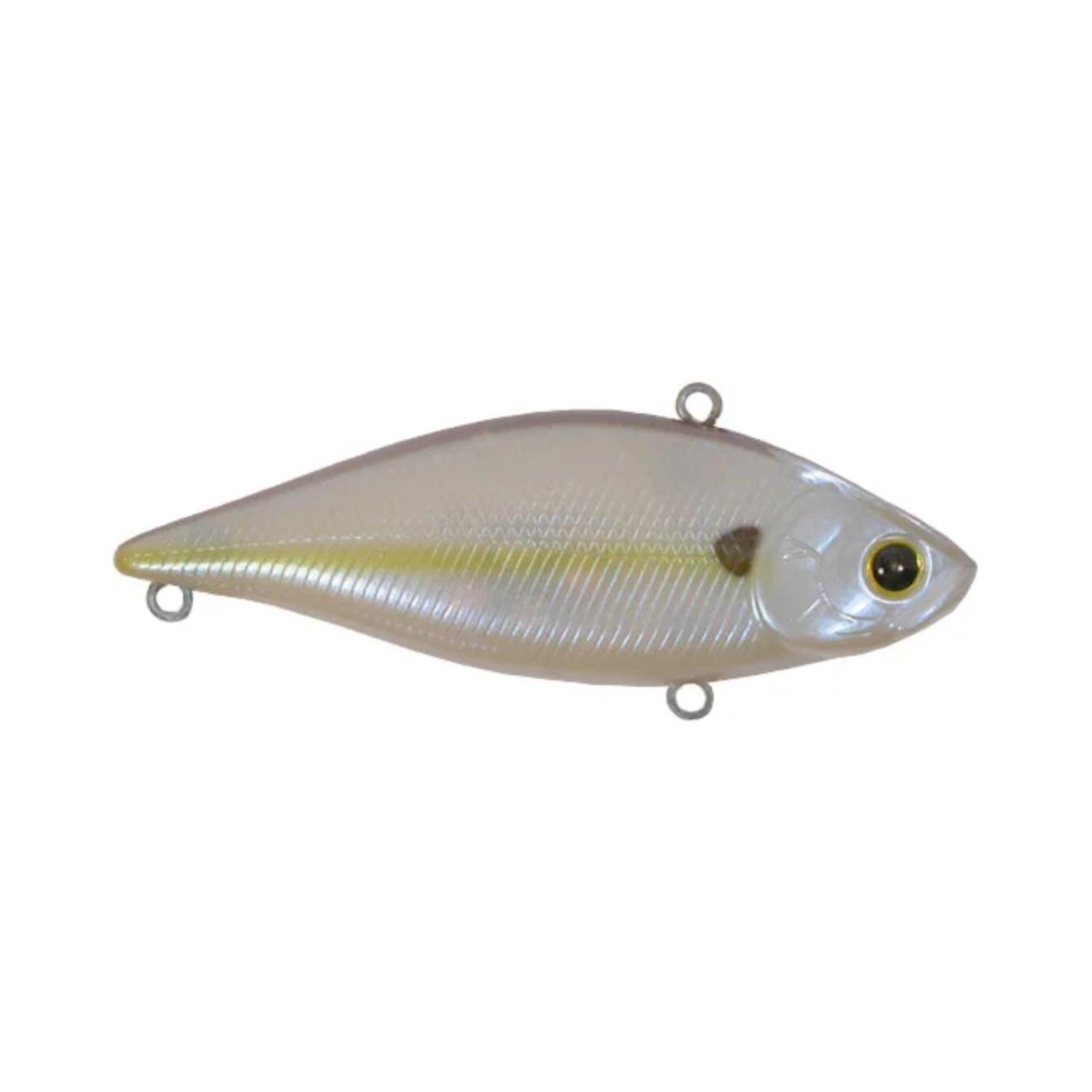 chartreuse shad
