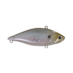 ghost minnow