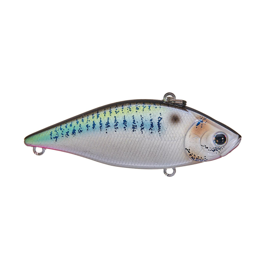 live threadfin shad
