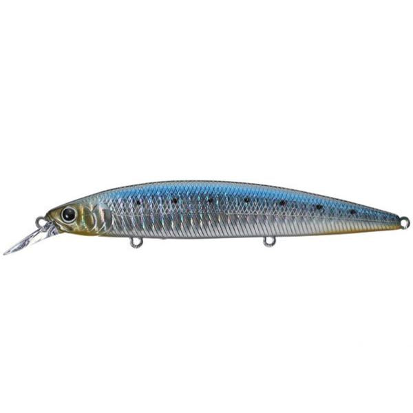 zebra sardine