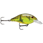 Luhr JensenLuhr Jensen Speed Trap Crankbait - CrankbaitMoss Back CrawLUH264