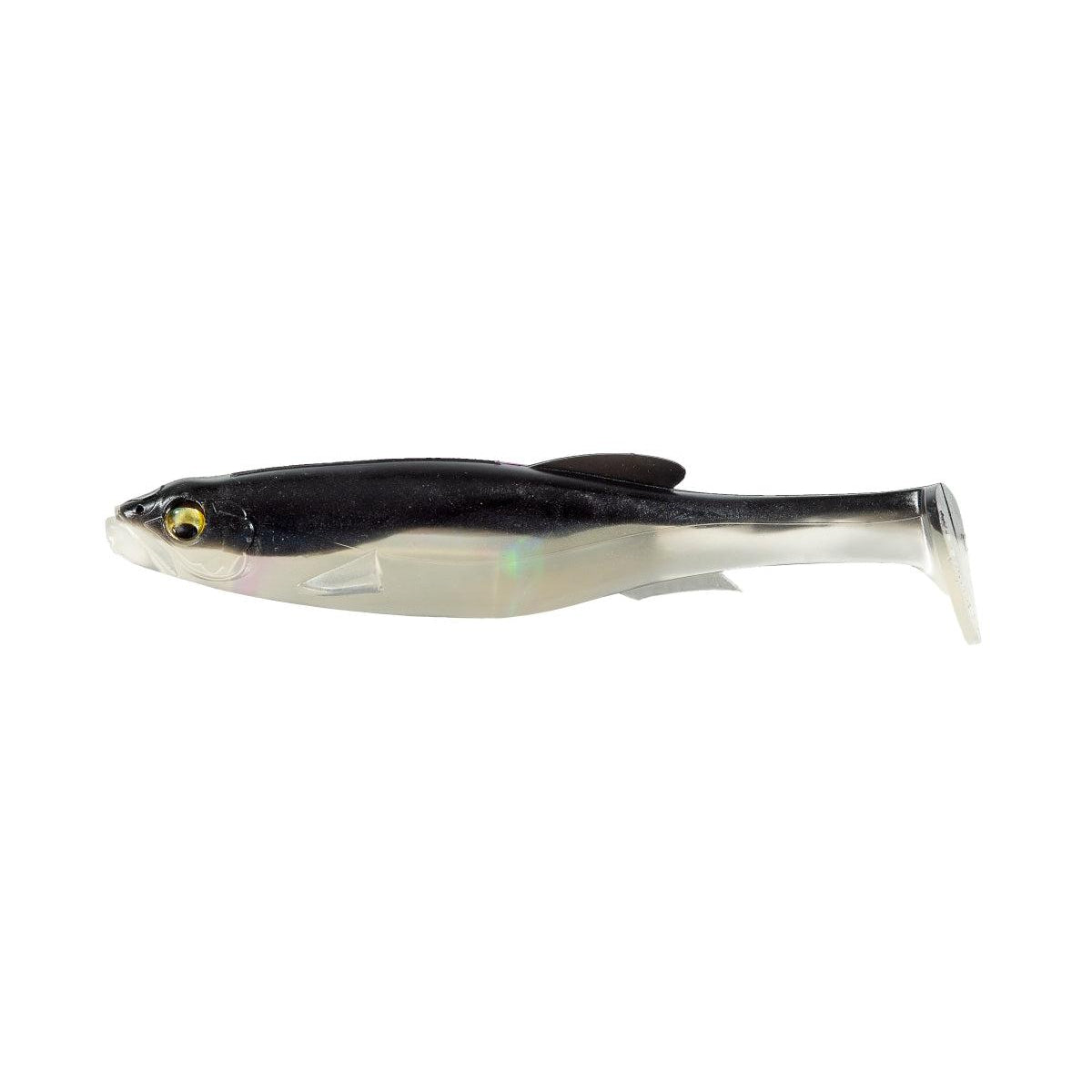 silver shad