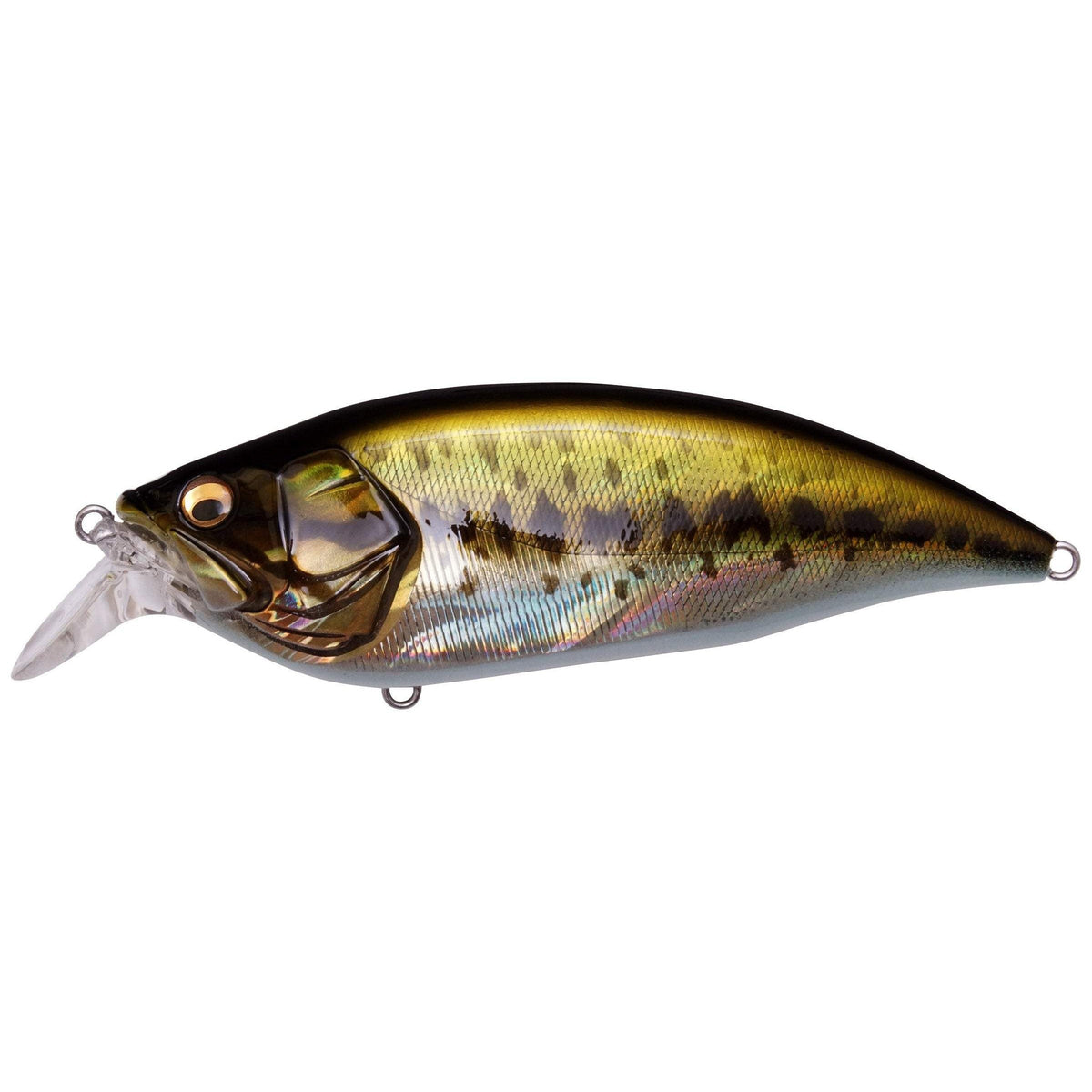 MegabassMegabass Big - M2.0 Crankbaits - CrankbaitMegabass Big - M2.0 GG LargemouthMEGABSS - BIGM/2.0 - GGLRGMUTH