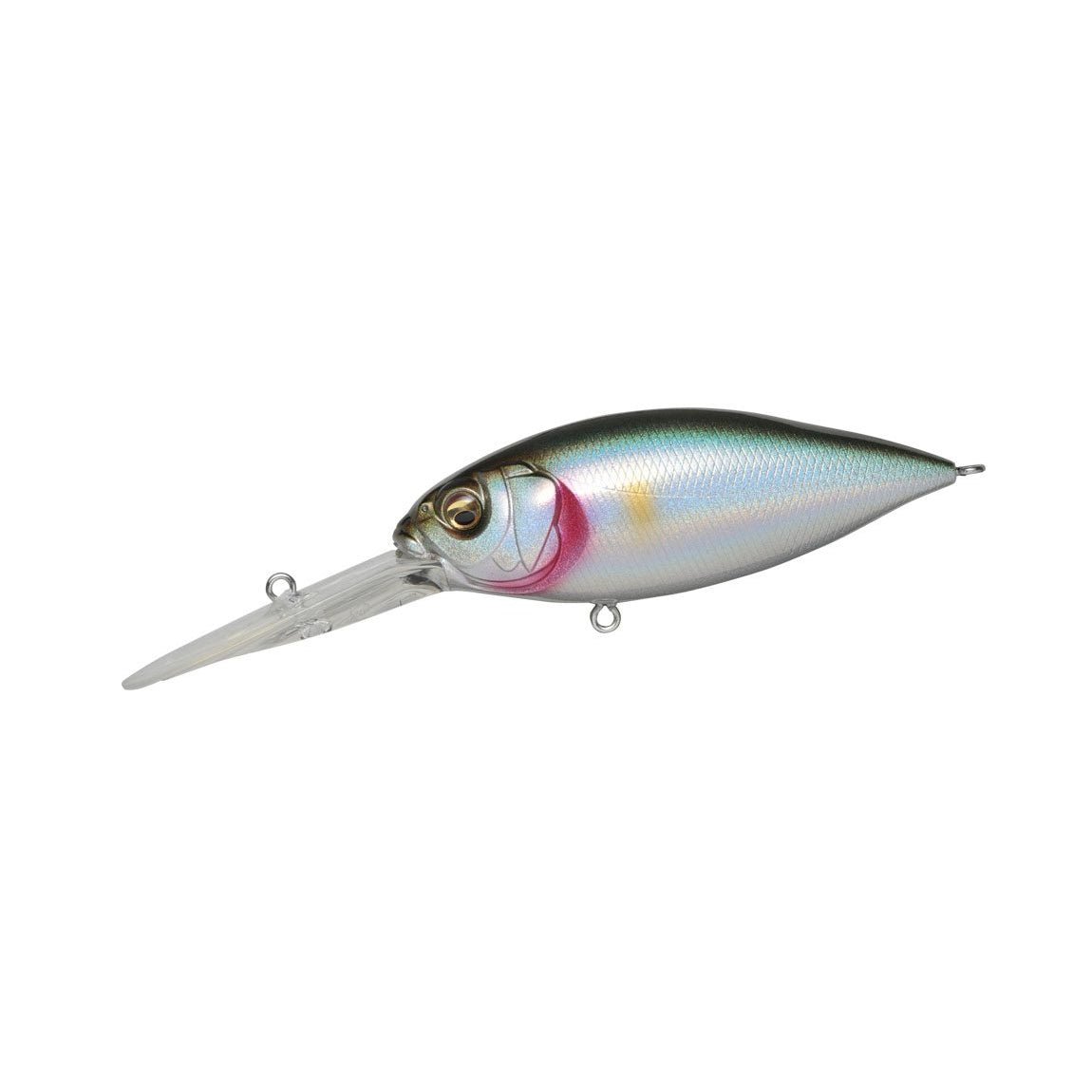 Megabass Deep-X 300 Crankbait Crankbait – Tackle Express