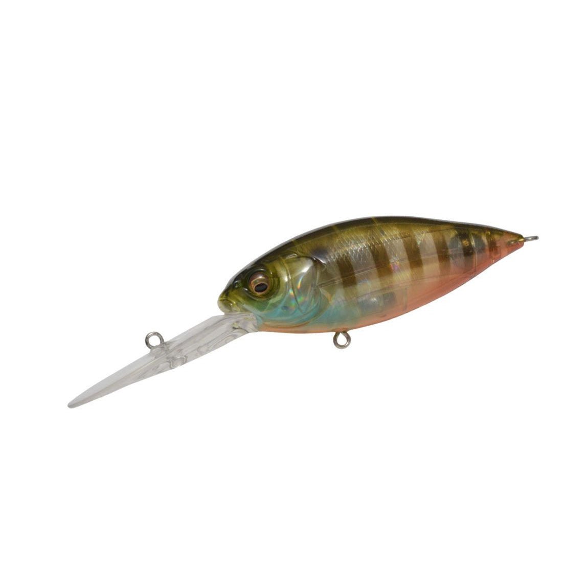 Megabass Deep-X 300 Crankbait Crankbait – Tackle Express
