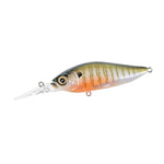 MegabassMegabass Diving Flapslap - CrankbaitSecret Gill305091 - SG