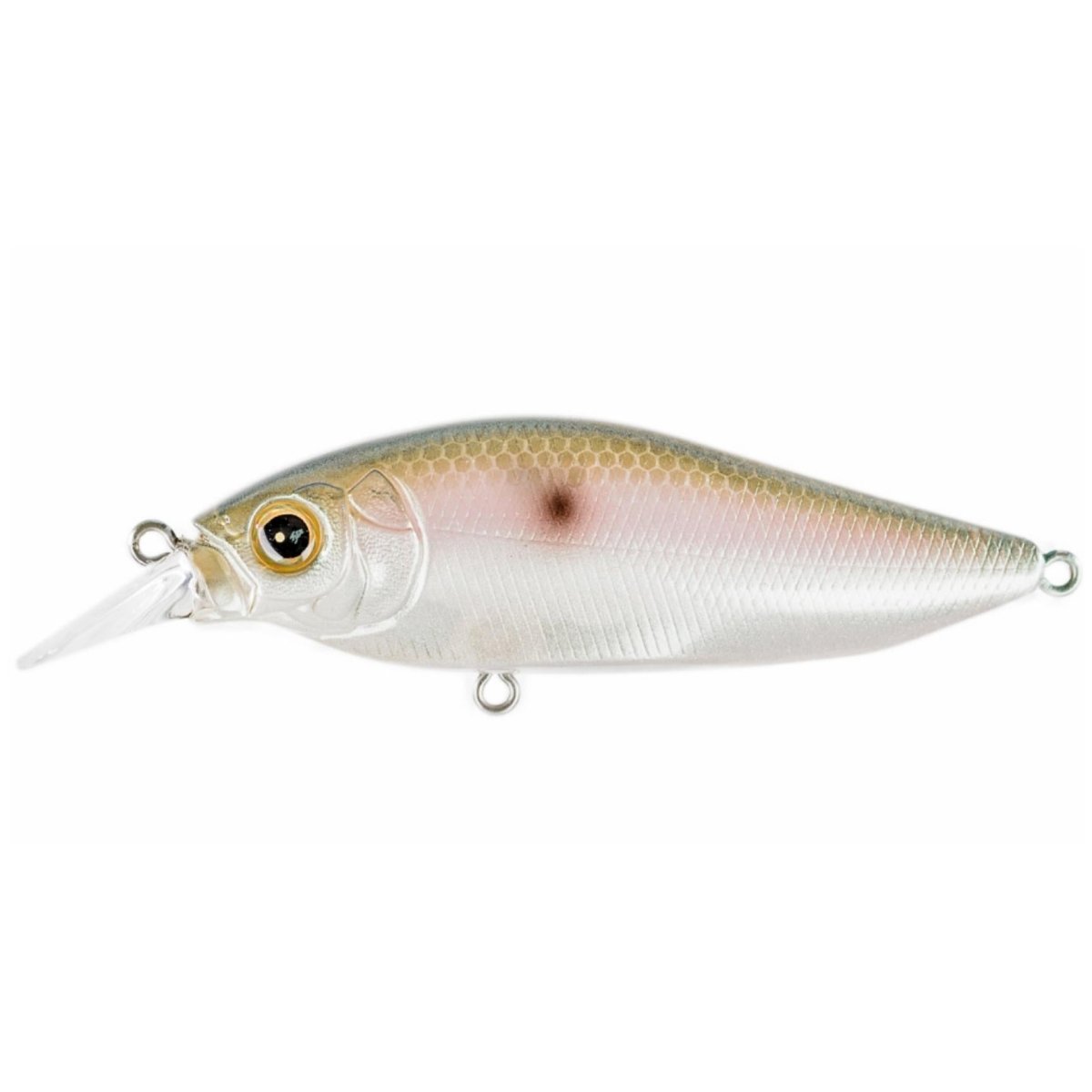 Megabass Flap Slap Crankbait Jerkbait – Tackle Express - Saltwater