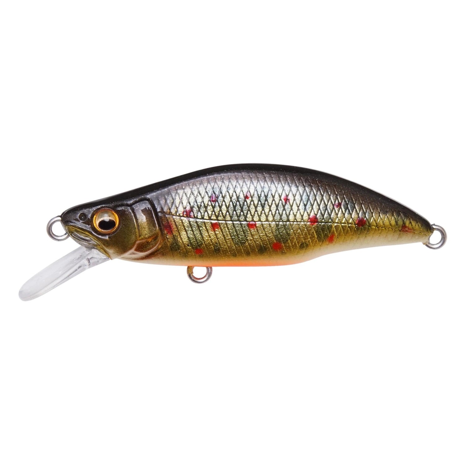 MegabassMegabass Great Hunting Humpback Minnows - Jerkbait2 Takumi Iwana 0470147040