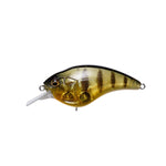 MegabassMegabass Sonic Side Squarebill Crankbait - CrankbaitGP Pro Perch 0998540386