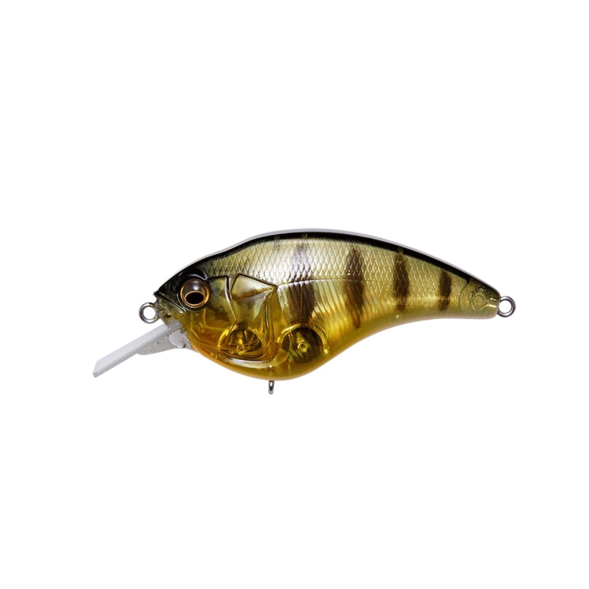 MegabassMegabass Sonic Side Squarebill Crankbait - CrankbaitGP Pro Perch 0998540386