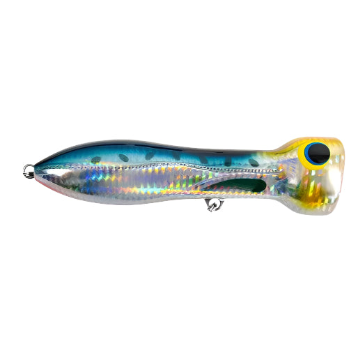 blue sardine