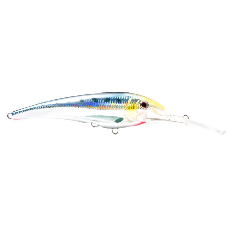 sardine
