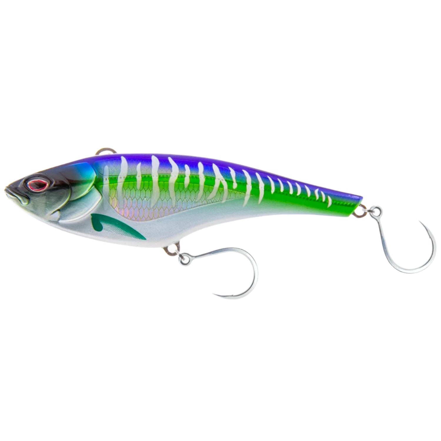 spanish mackerel
