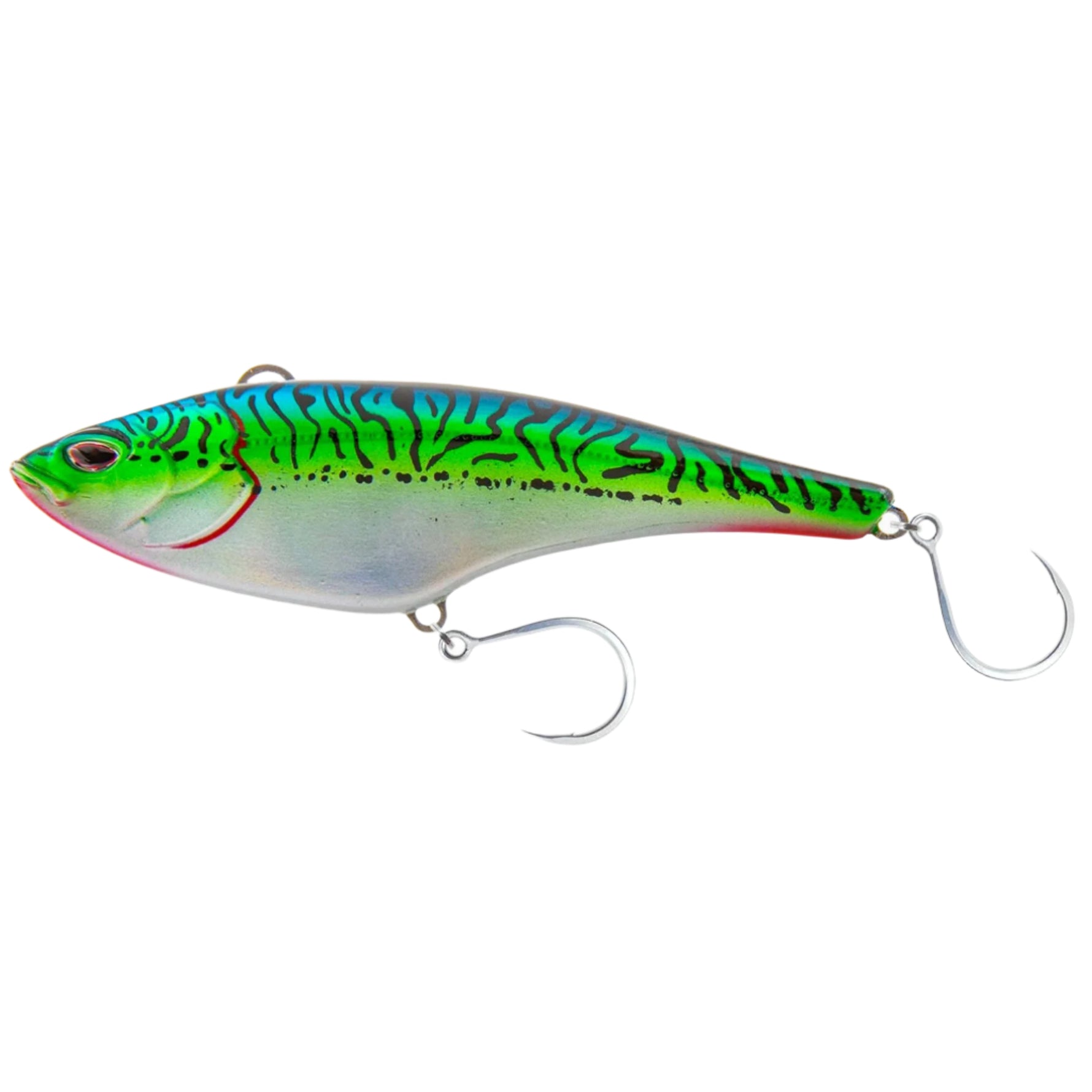 silver green mackerel