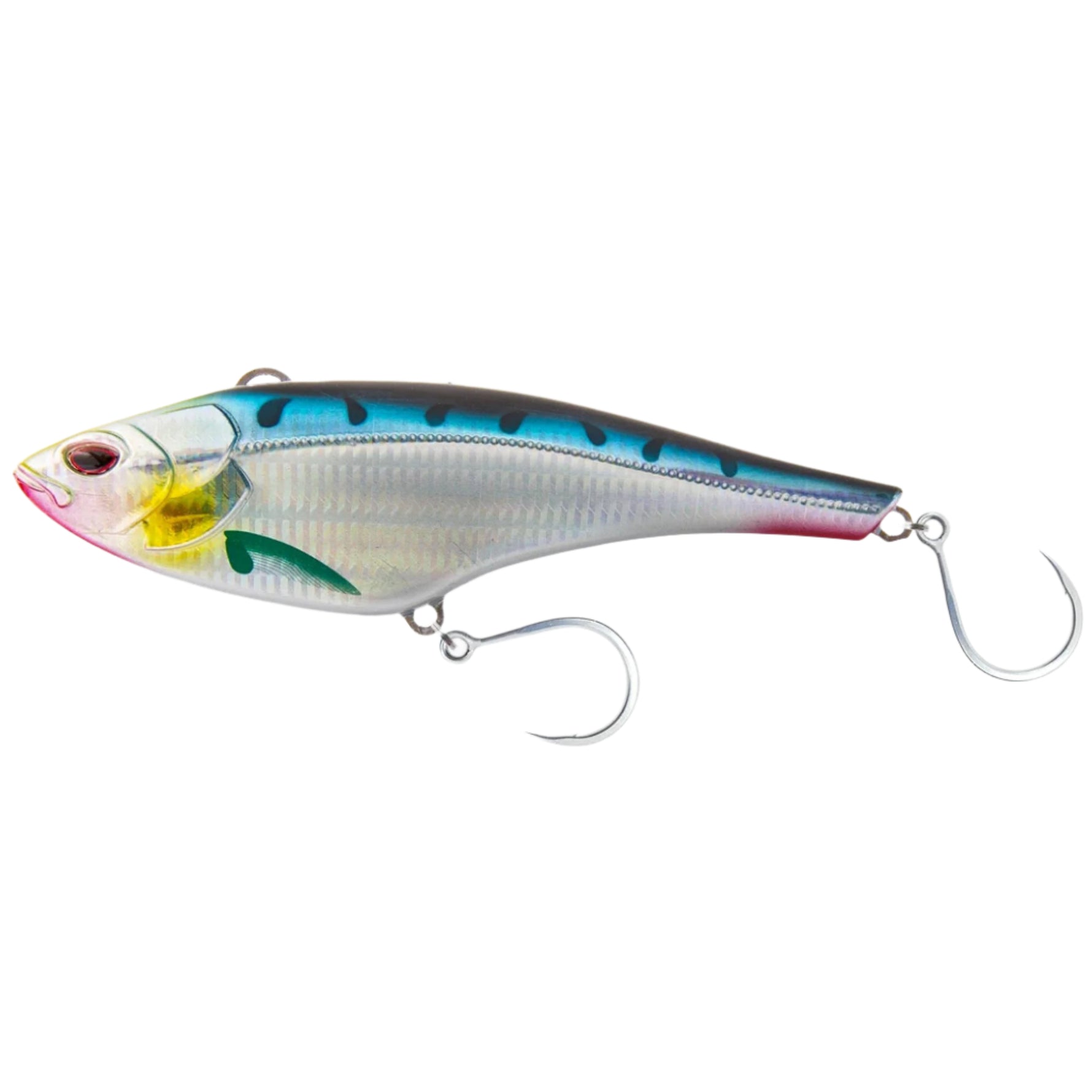 sardine
