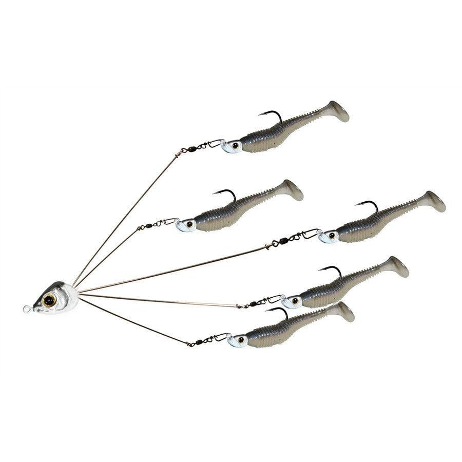 PicassoPicasso School - E - Rig - Umbrella RigFinesse Shad 5"PIC140