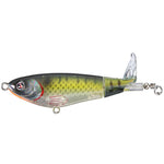 bluegill