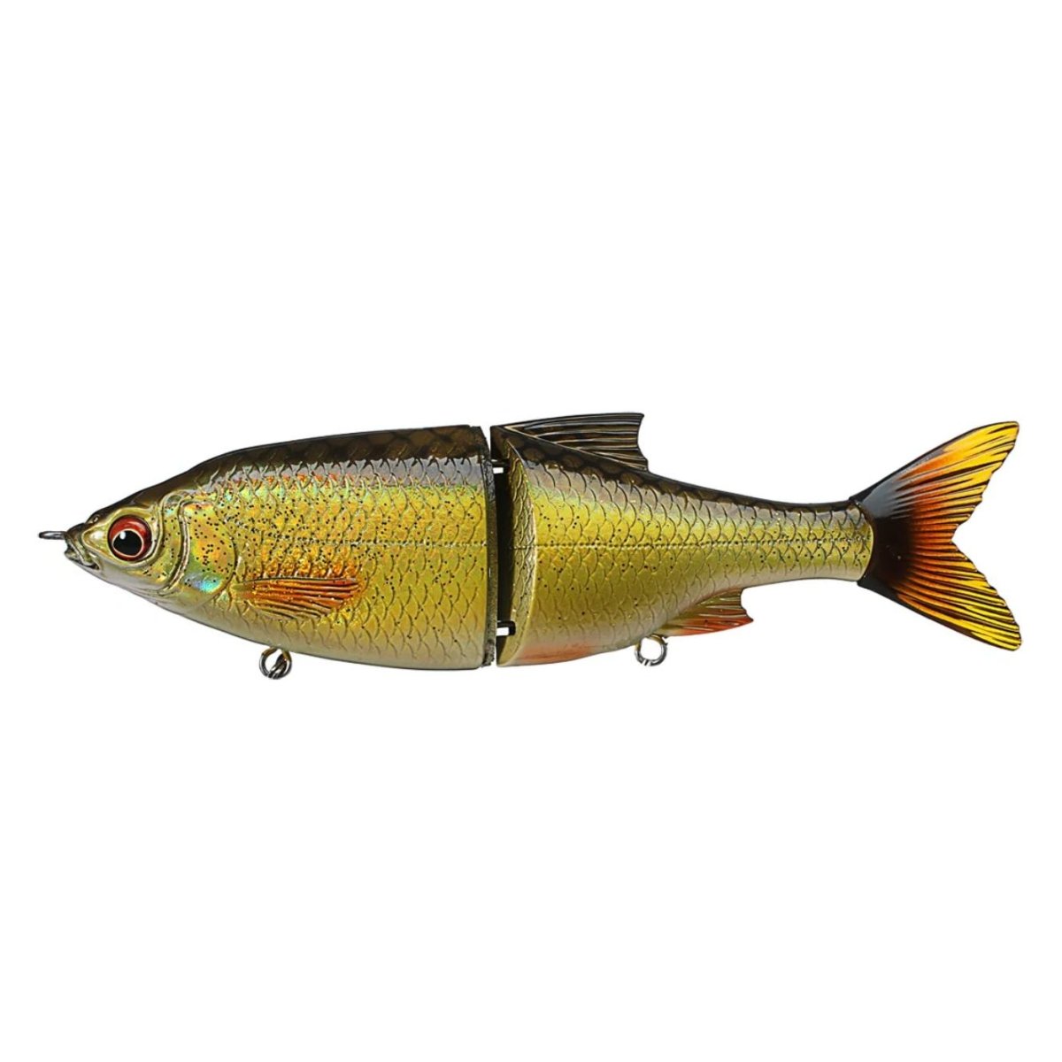 3d roach savage gear Golden Shiner