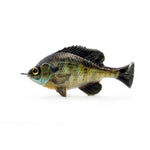 Savage GearSavage Gear Pulse Tail Bluegill LB 4" - Soft SwimbaitsSavage Gear Pulse Tail Bluegill LB 4"SG - LB - 2526