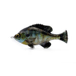 Savage GearSavage Gear Pulse Tail Bluegill LB 4" - Soft SwimbaitsSavage Gear Pulse Tail Bluegill LB 4"SG - LB - 2528