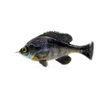 Savage GearSavage Gear Pulse Tail Bluegill LB 4" - Soft SwimbaitsSavage Gear Pulse Tail Bluegill LB 4"SG - LB - 2530