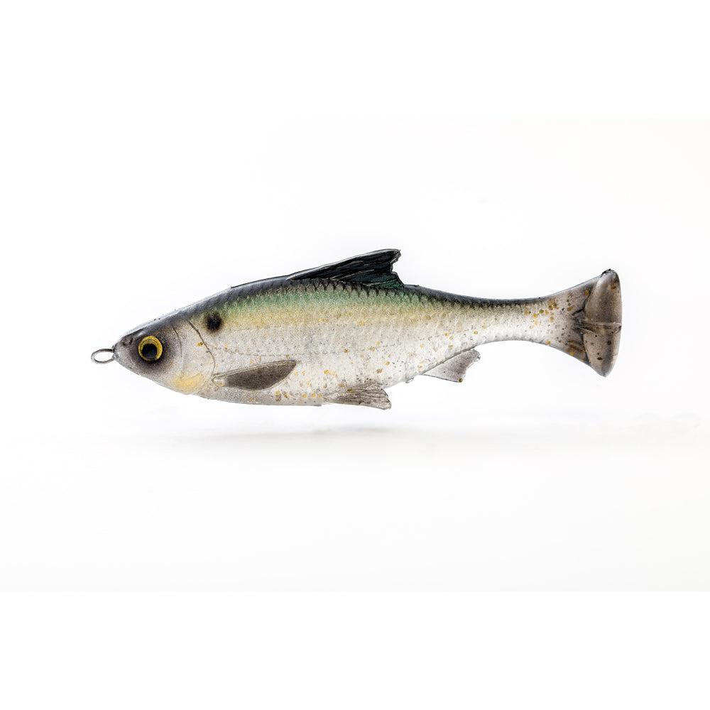 Savage GearSavage Gear Pulse Tail Shiner LB Swimbaits - Soft SwimbaitsGreen BackSG - 2542